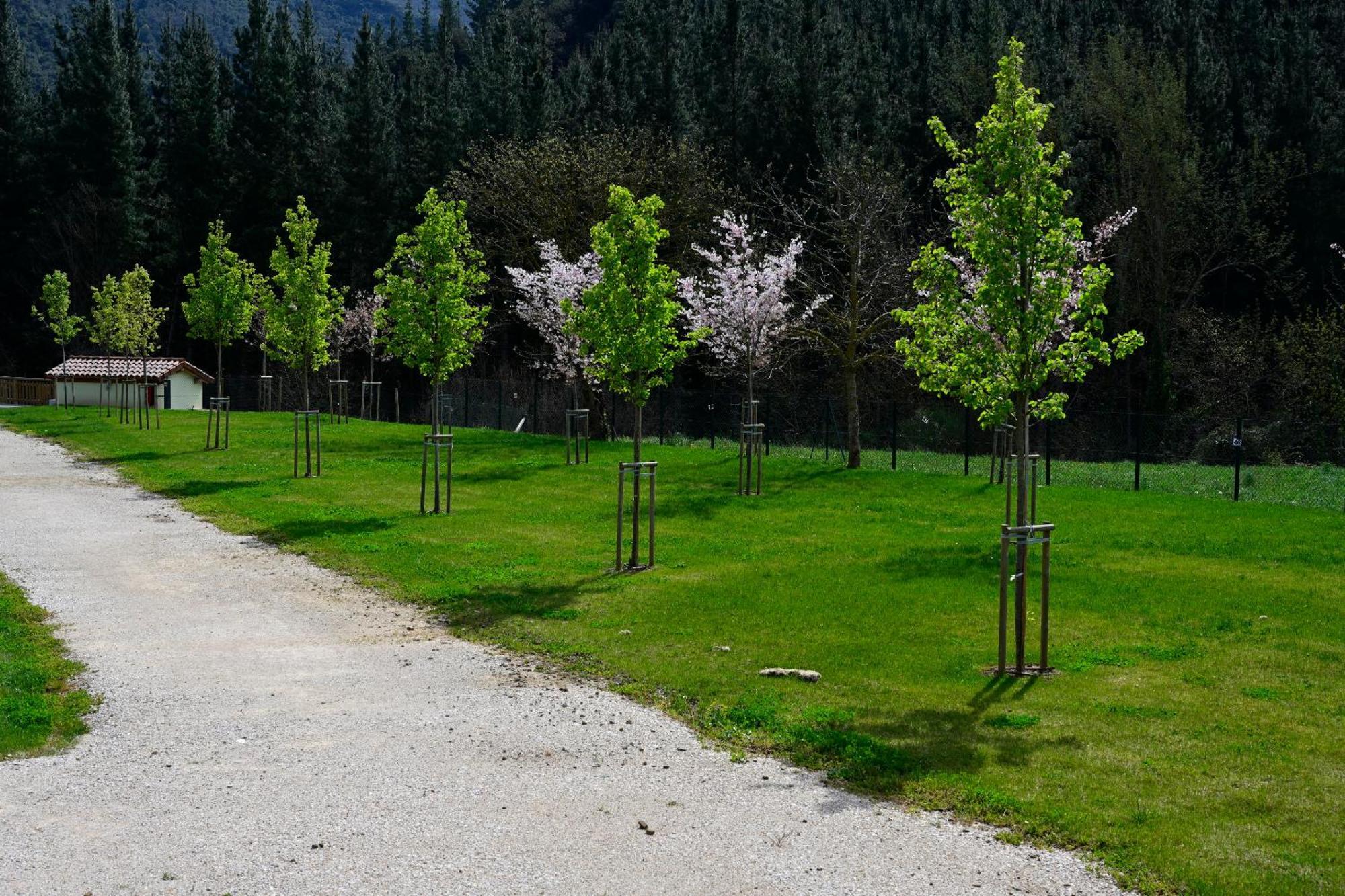 Camping Liebana Cabezon de Liebana Екстер'єр фото